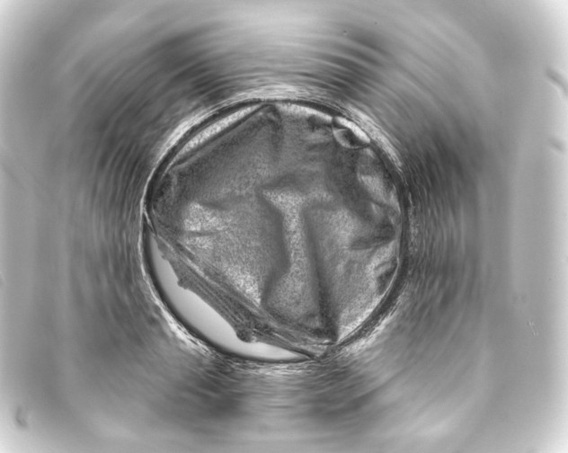 X0000093210845200710241155