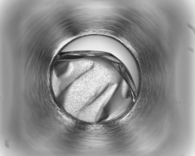 X0000093210846200710241155