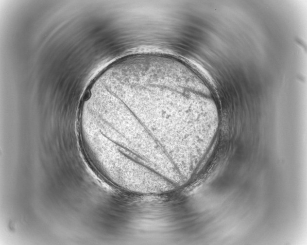 X0000093210847200710241156