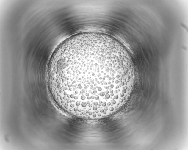 X0000093210848200710241156