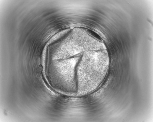 X0000093210849200710241156