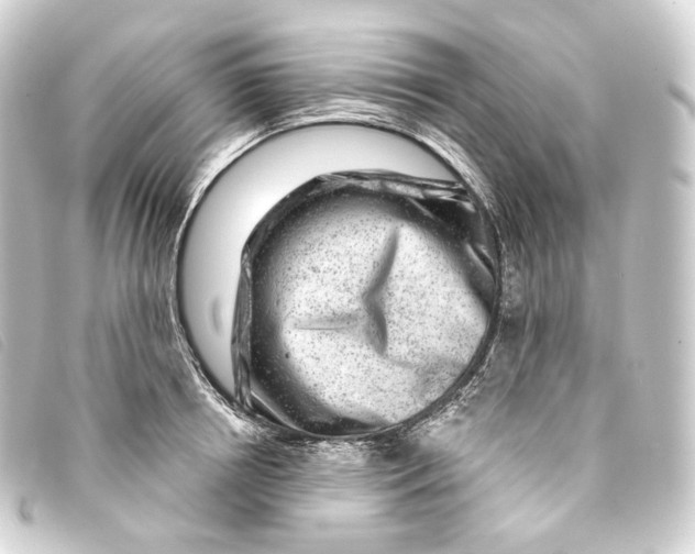 X0000093210850200710241156