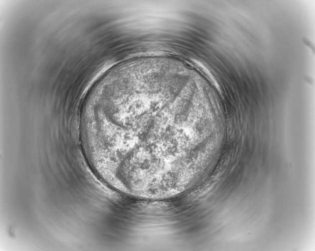 X0000093210851200710241156