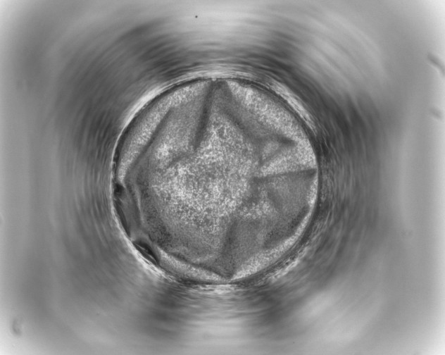 X0000093210853200710241156