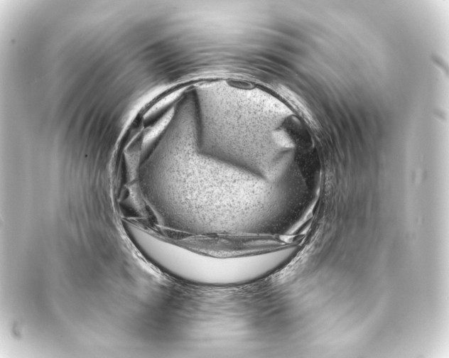 X0000093210854200710241156