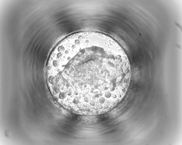 X0000093210856200710241156