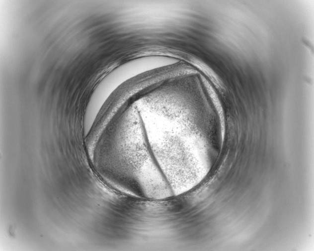 X0000093210857200710241156