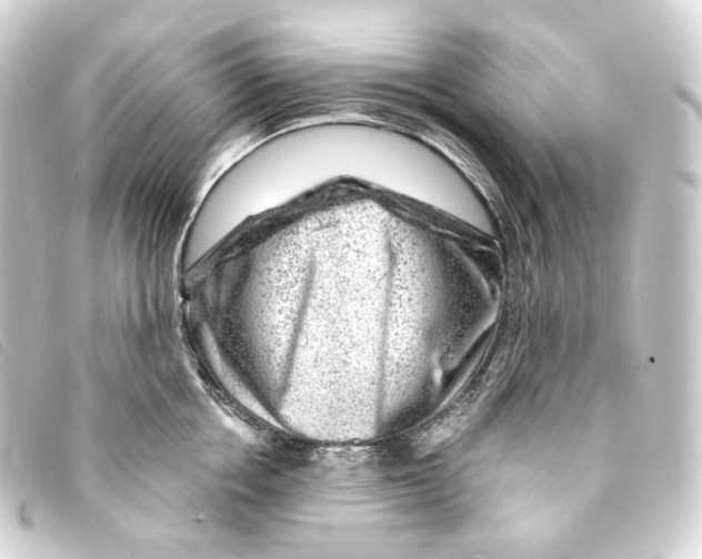 X0000093210858200710241156