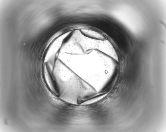 X0000093210861200710241156