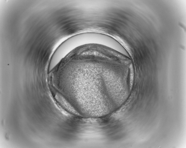 X0000093210862200710241156
