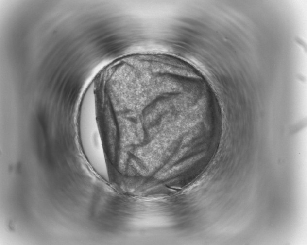 X0000093210864200710241156