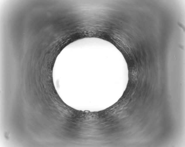 X0000093210865200710241155