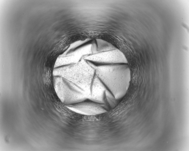 X0000093210866200710241155