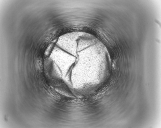 X0000093210867200710241155