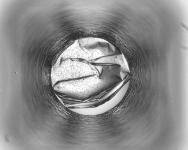 X0000093210868200710241155