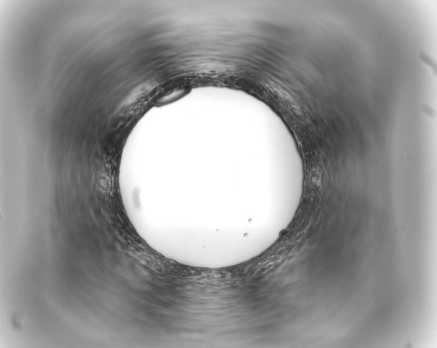 X0000093210869200710241155