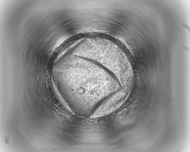 X0000093210871200710241155