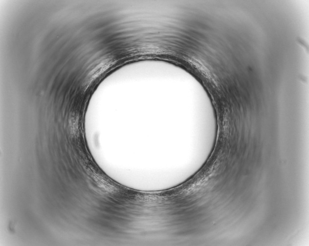 X0000093210873200710241155