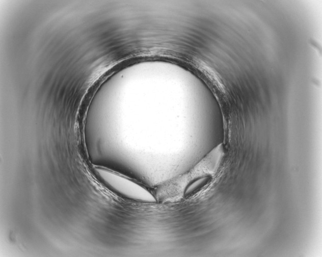 X0000093210876200710241155