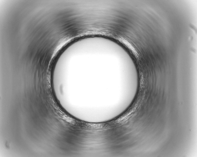 X0000093210878200710241155