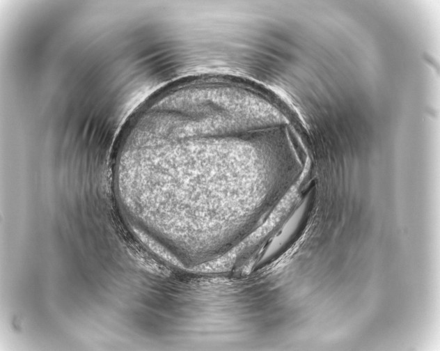 X0000093210879200710241155