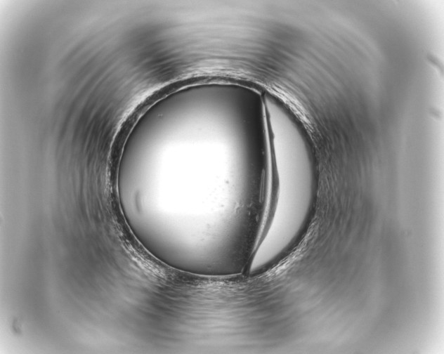 X0000093210880200710241155