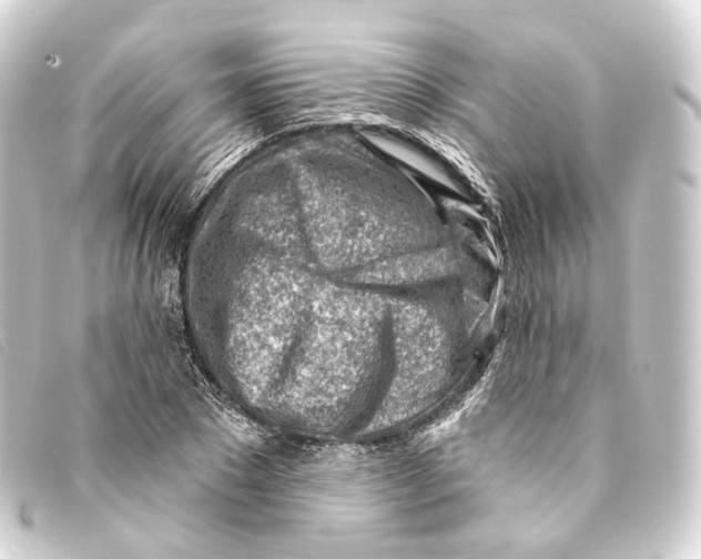X0000093210881200710241155