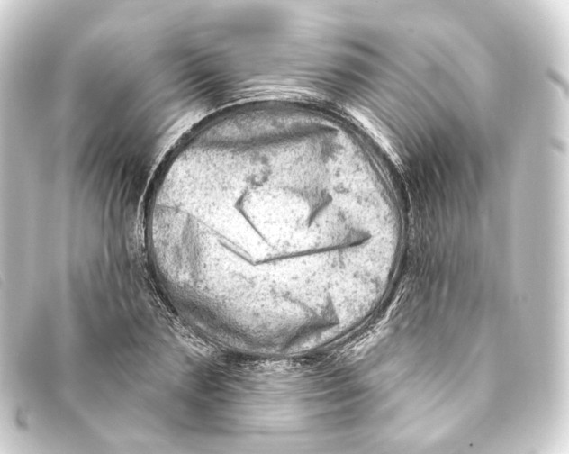 X0000093210883200710241155