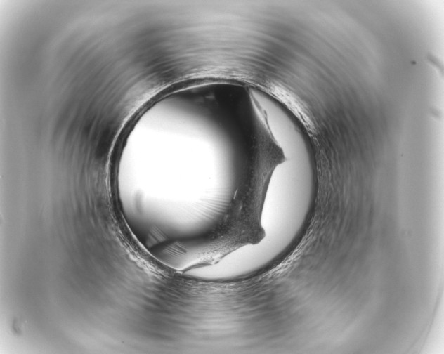 X0000093210884200710241155