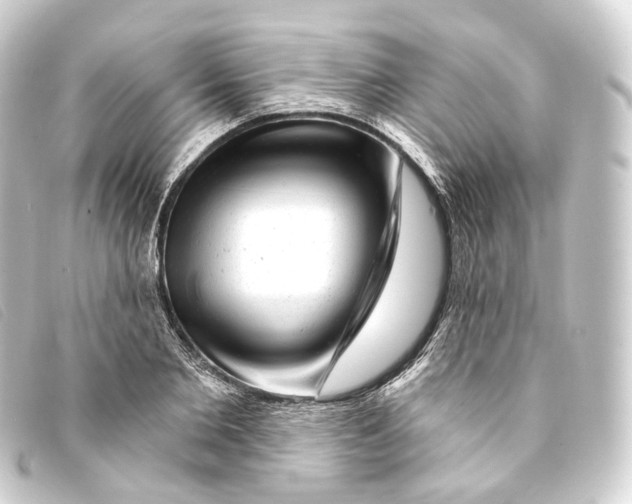 X0000093210885200710241155