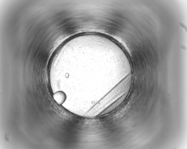 X0000093210887200710241155