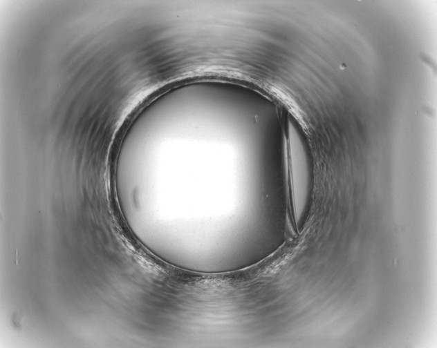 X0000093210888200710241155