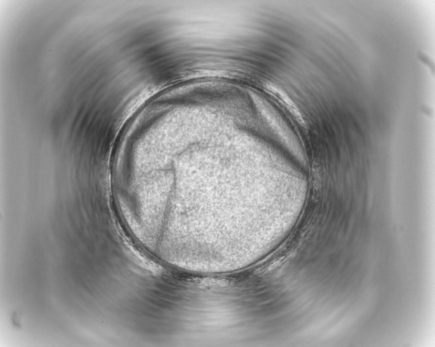 X0000093210890200710241155