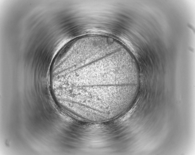 X0000093210891200710241155