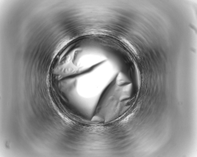 X0000093210893200710241155