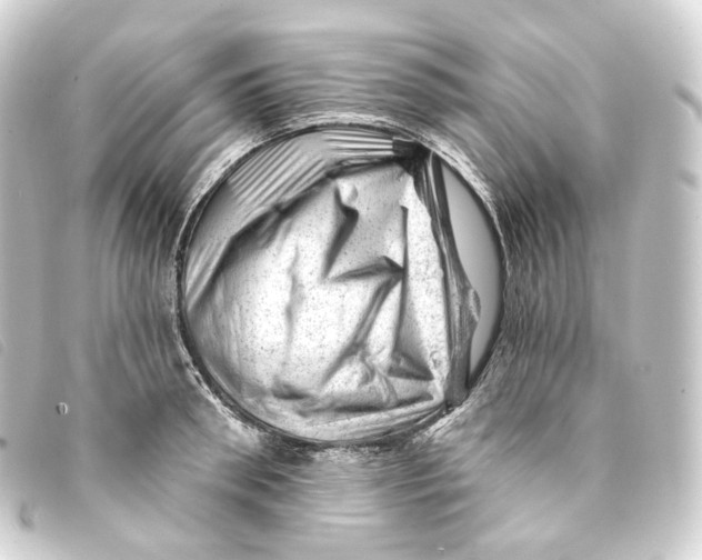 X0000093210898200710241155