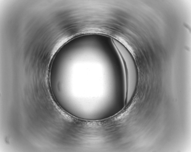 X0000093210901200710241155