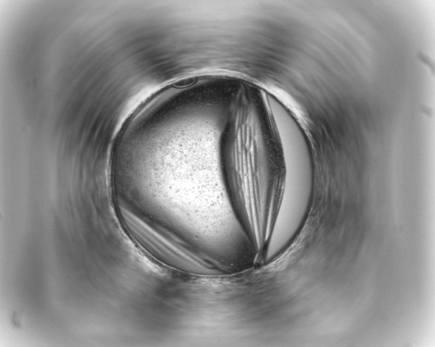 X0000093210910200710241155