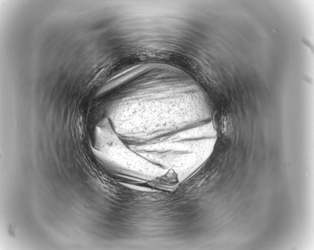 X0000093210915200710241154