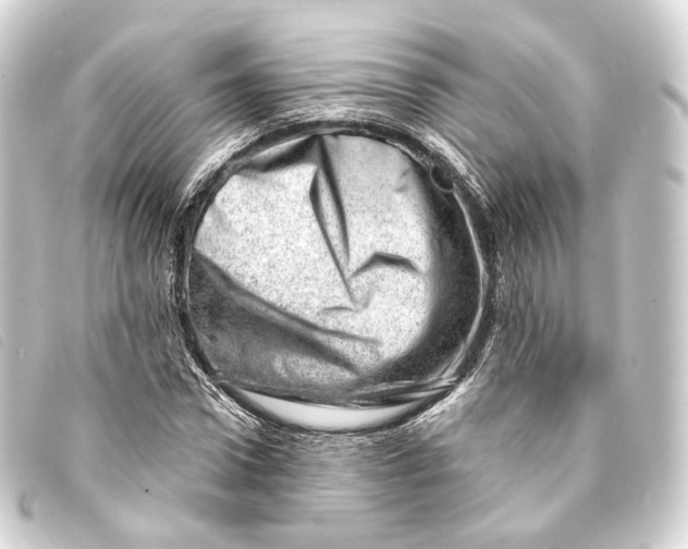 X0000093210922200710241154