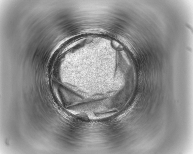 X0000093210923200710241154