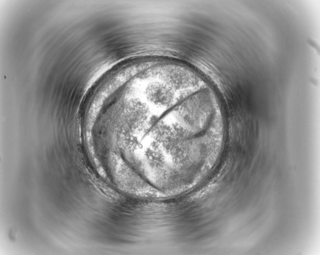X0000093210925200710241154