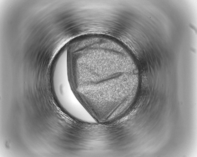 X0000093210926200710241154