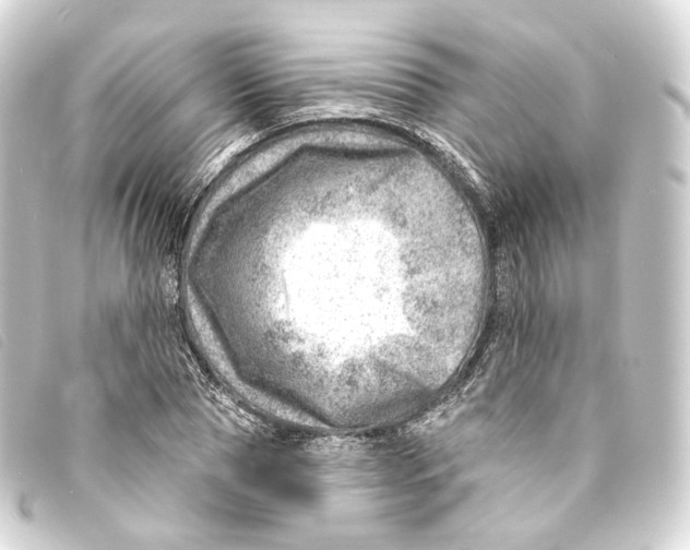 X0000093210929200710241154