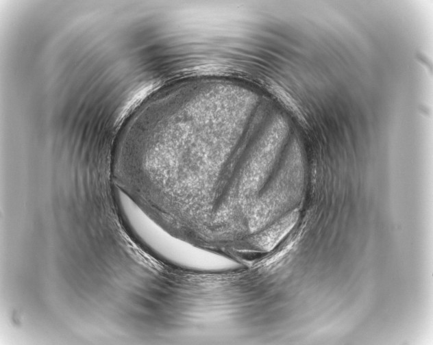 X0000093210930200710241154