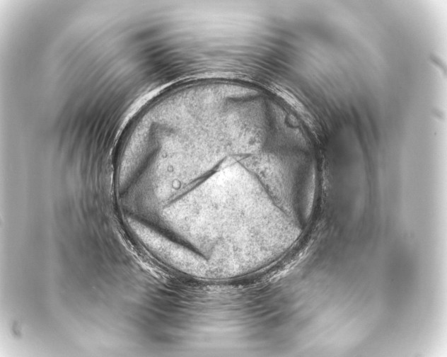 X0000093210933200710241154