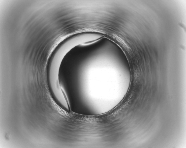X0000093210934200710241154