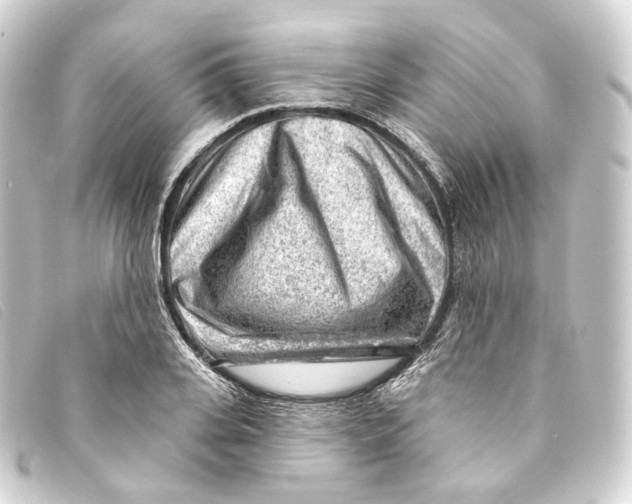 X0000093210935200710241154