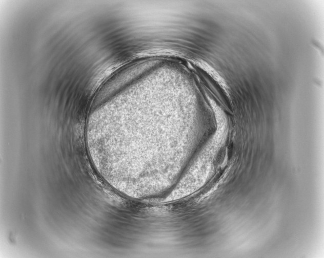 X0000093210937200710241154