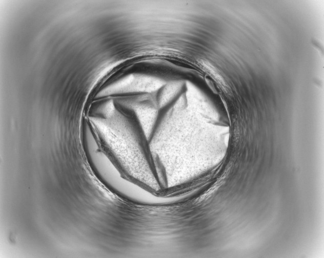 X0000093210940200710241154